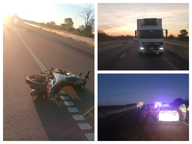 MAKALLÉ: Accidente En Ruta 16: Camión Colisionó Con Un Equino Y Una Moto Fue Involucrada