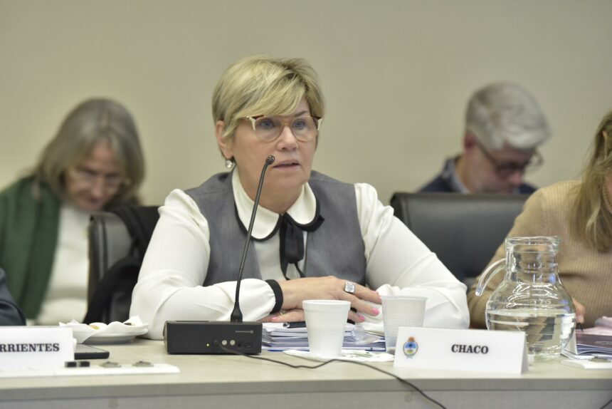 Con La Participación De Chaco, El Consejo Federal De Educación Avanzó En Nuevos Marcos De Referencia Para La Educación Técnico Profesional