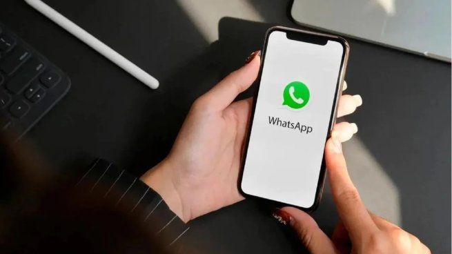 ChatGPT llegó a WhatsApp: descubrí como conversar con la IA desde tu celular