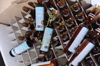 RESISTENCIA: Descartaron Fentanilo En Un Contenedor Del Barrio Complejo Malvinas Argentinas