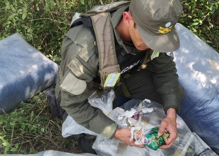 CHACO: Hallaron 120 Kilos De Hojas De Coca Escondidas En El Monte