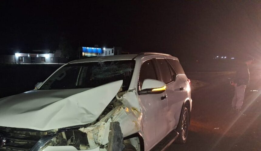 MACHAGAI: Caballos Sueltos Provocaron Un Accidente En Ruta 16