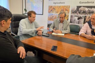 La Apicultura Chaqueña Contará Con Herramientas De Financiamiento