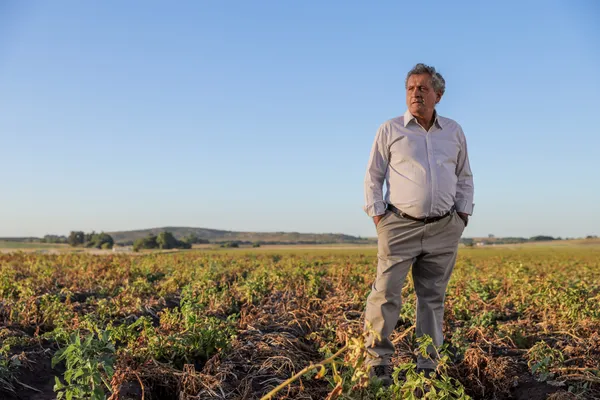 La otras plagas: los tres cortometrajes de una multinacional del agro que muestra situaciones reales de productores del campo argentino