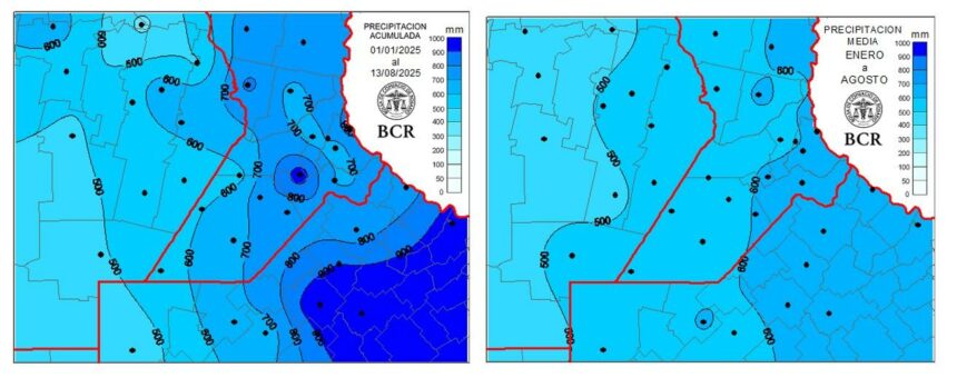 Lluvias récord sostienen al trigo y, el girasol gana terreno en la región núcleo