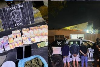 CHACO: Fueron Sorprendidos Intentando Abrir Autos Y Uno De Ellos Tenía Casi Medio Kilo De Marihuana