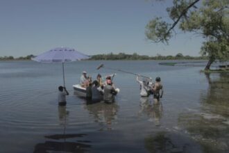 Nuevos cursos gratuitos para estudiantes de la UNNE