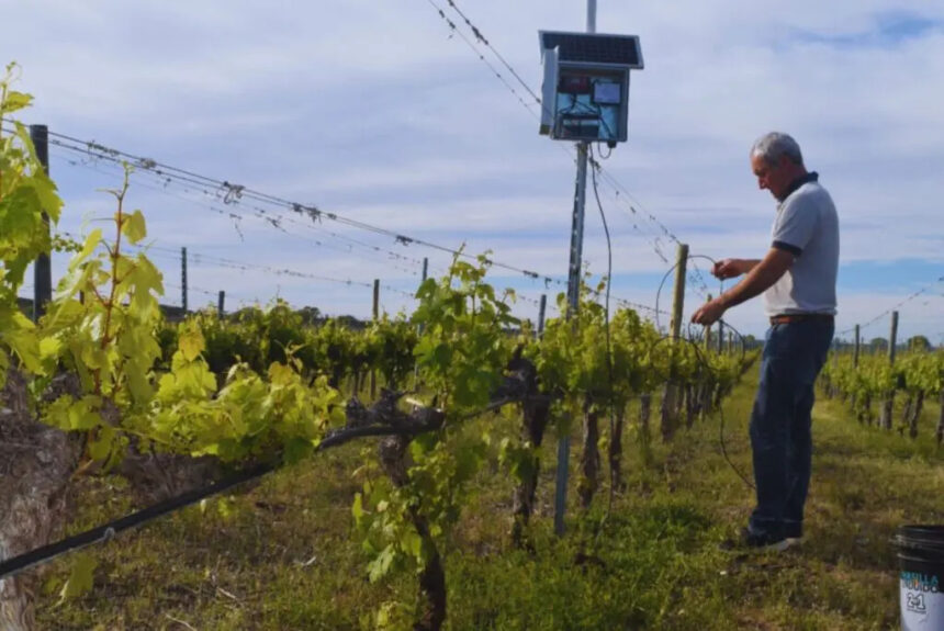 Riego inteligente en la cuenca del Río Colorado: claves para enfrentar la escasez hídrica
