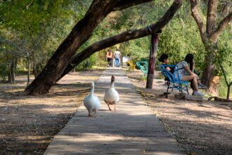 Sáenz Peña: El Complejo Ecológico celebra el Mes del Niño con entrada gratuita, sorteos y actividades familiares