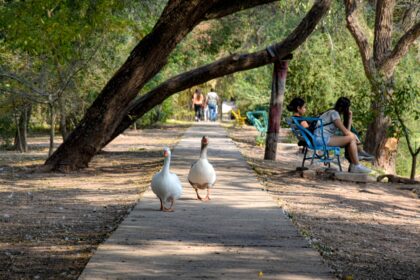 Sáenz Peña: El Complejo Ecológico celebra el Mes del Niño con entrada gratuita, sorteos y actividades familiares