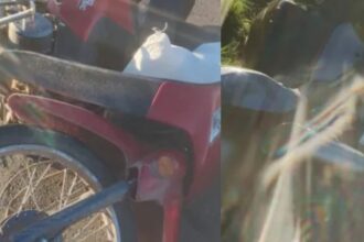 CHACO: Feroz Violento Choque Entre Dos Motos en la Ruta Nº 16