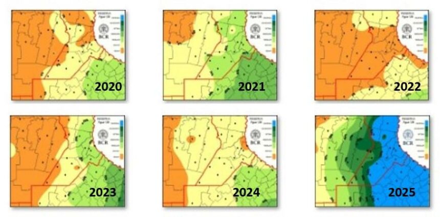 Siembra de maíz: proyectan un aumento de superficie de 700.000 hectáreas y la campaña quedará cerca de un récord