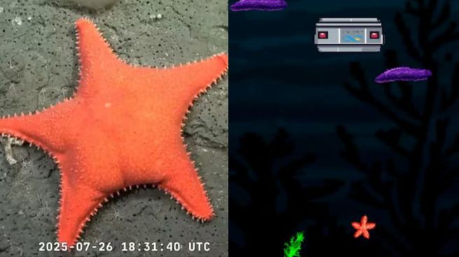 Sumergite en Talud Mar del Plata: el videojuego que revive la expedición submarina del CONICET