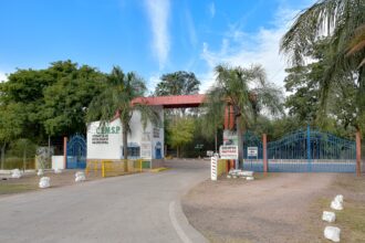 Sáenz Peña: Durante el mes de agosto los niños ingresarán gratis al Complejo Ecológico Municipal