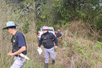 CHACO: Hallan Escondida En El Monte Una Camioneta Sustraída En Las Garcitas