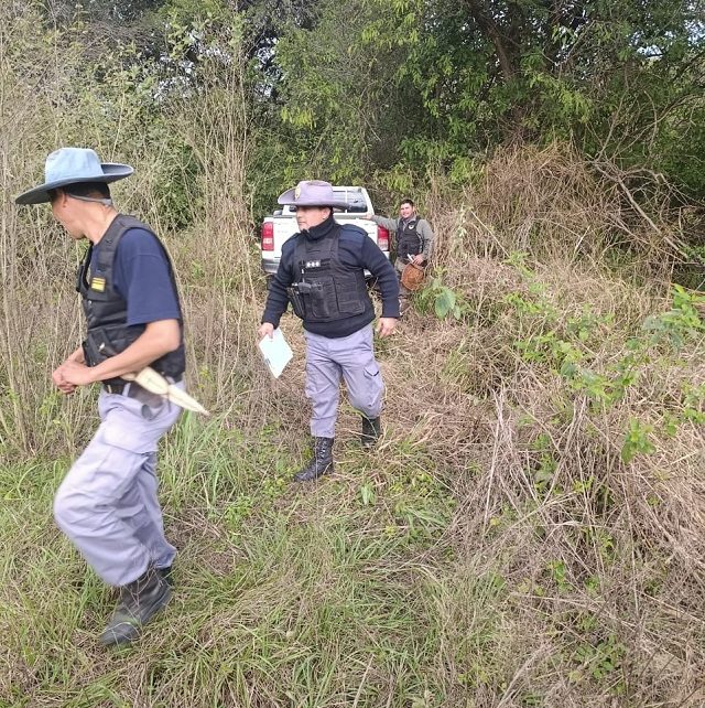 CHACO: Hallan Escondida En El Monte Una Camioneta Sustraída En Las Garcitas