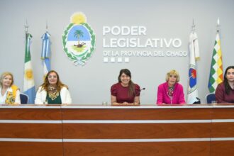 Conversatorio en el Poder Legislativo sobre el ejercicio profesional de la puericultura