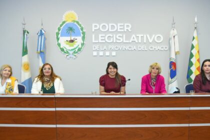 Conversatorio en el Poder Legislativo sobre el ejercicio profesional de la puericultura