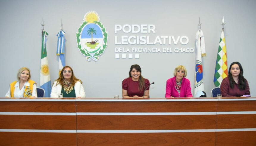 Conversatorio en el Poder Legislativo sobre el ejercicio profesional de la puericultura