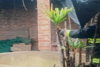 PLAZA: Hallaron A Una Mujer Sin Vida Dentro De Un Aljibe