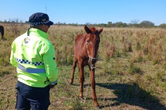CHACO:  Policía Caminera Continúa Tomando Acciones Sobre Esta Problemática Del Tránsito