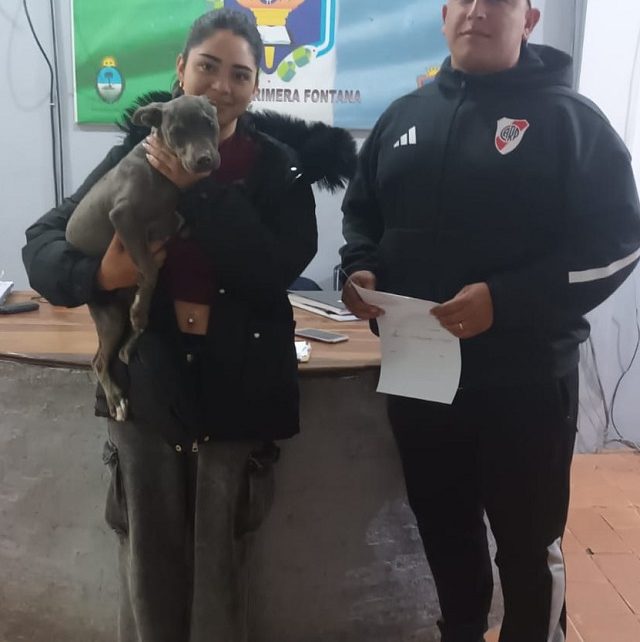 FONTANA: Dos Personas Detenidas Por El Robo De Un Cachorro