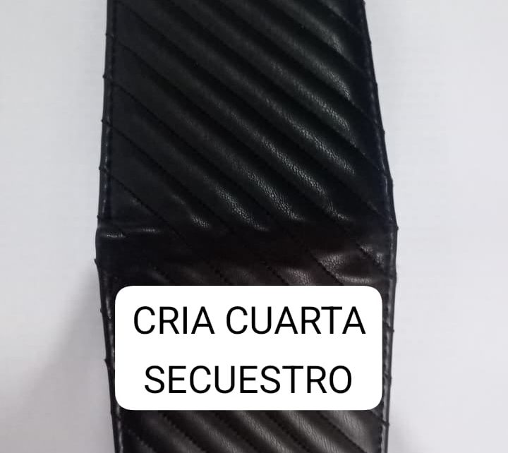 CHACO: Hurto Una Billetera, Quiso Huir Y No Lo Logro