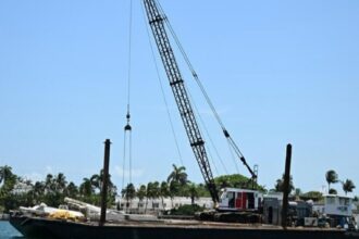 El Gobierno echó a un funcionario que dijo que Argentina iba a investigar la muerte de la nieta de Cris Morena