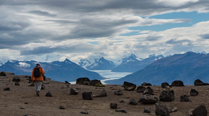 Hallazgo arqueológico en la Patagonia: descubren un temible depredador pariente de los cocodrilos