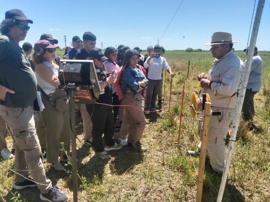 El Municipio y el INTA realizaron una capacitación sobre alumbrado eléctrico rural 