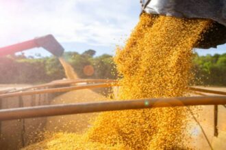 Qué impacto tuvo la eliminación de las retenciones en las góndolas