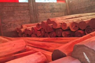 Bosques: Secuestran Maquinaria Y Cargamento Ilegal De Quebracho Colorado