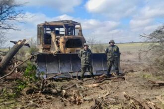 Chaco Redujo Un 65% Los Desmontes En El Primer Semestre De 2025