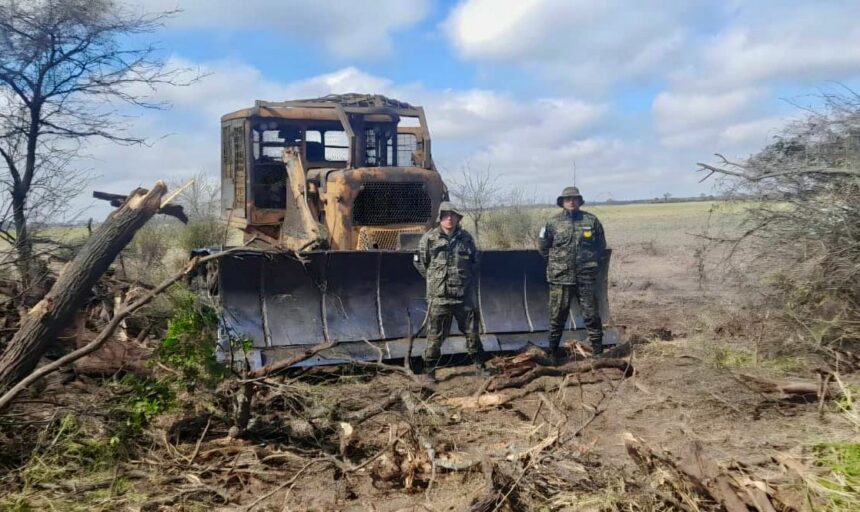 Chaco Redujo Un 65% Los Desmontes En El Primer Semestre De 2025