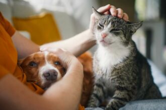 Esta es la mascota ideal para cada signo zodiacal, según la Inteligencia Artificial