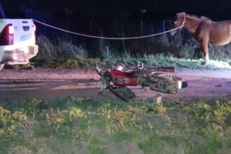 TRES ISLETAS: Motociclista en Estado de Ebriedad Chocó contra un Caballo en Colonia Lalelay