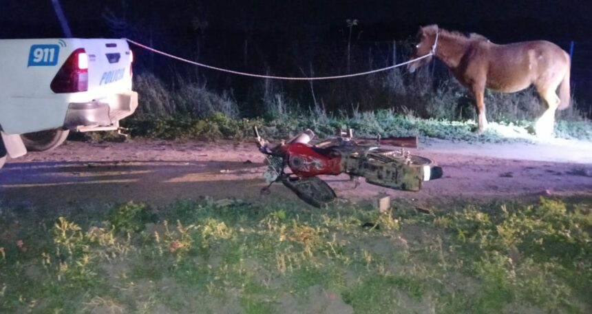 TRES ISLETAS: Motociclista en Estado de Ebriedad Chocó contra un Caballo en Colonia Lalelay