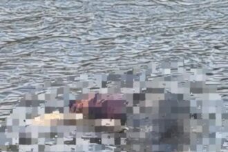 RESISTENCIA: Hallaron a una Persona Sin Vida Flotando en el Río Negro