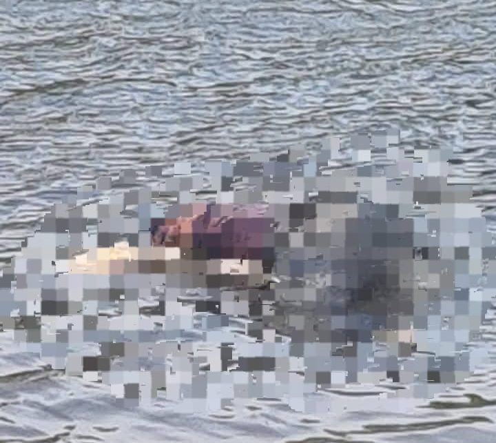 RESISTENCIA: Hallaron a una Persona Sin Vida Flotando en el Río Negro