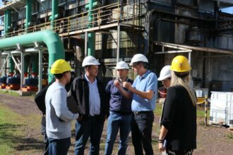 La Escondida: Chaco Fortalece La Industria Forestal Con Mirada Sostenible Y Apertura De Mercados