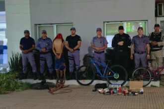 SÁENZ PEÑA: Operativo Lince: Recuperan Objetos Y Secuestran Plantas De Cannabis