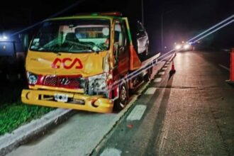 CHACO: Animales sueltos provocaron un accidente en la Ruta 16