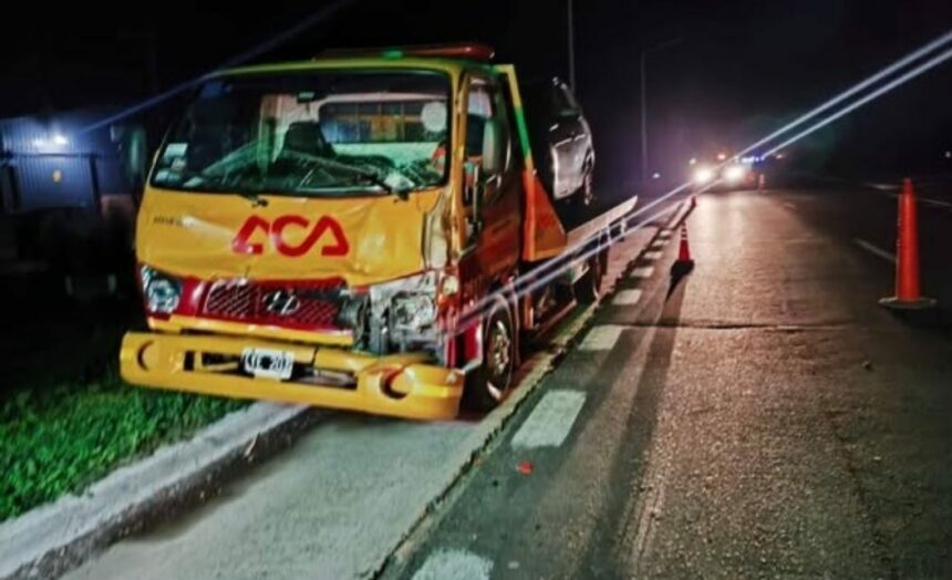 CHACO: Animales sueltos provocaron un accidente en la Ruta 16