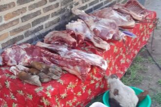 HERMOSO CAMPO: Una Mujer Fue Aprehendida Por El Hurto Y Faena De Un Vacuno De Su Vecino