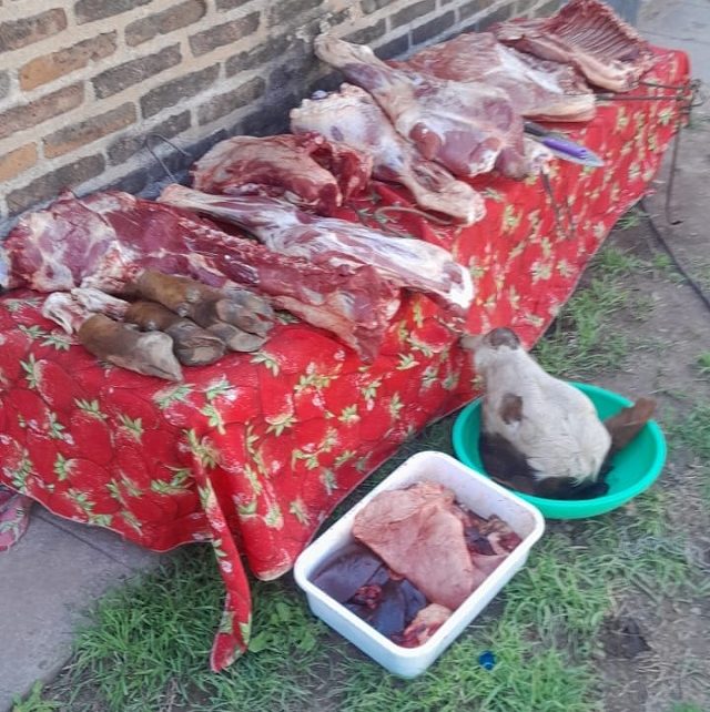 HERMOSO CAMPO: Una Mujer Fue Aprehendida Por El Hurto Y Faena De Un Vacuno De Su Vecino