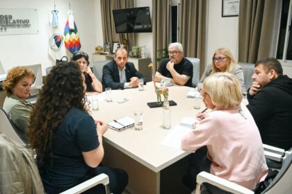 La Legislatura recibió a especialistas en lactancia y nutricionistas por la regulación de la puericultura