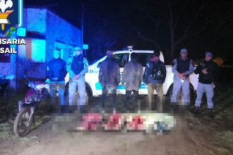 BASAIL: Operativo “Lince”: Secuestraron Armas, Motos Y Animales Faenados