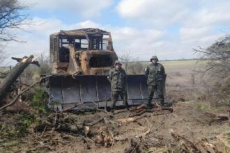 CHACO:   Bosques: Secuestran Maquinaria Y Cargamento Ilegal De Quebracho Colorado