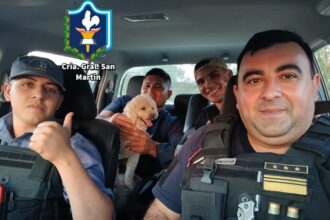 CHACO: Buenas Noticias: Policías Llevaron De Vuelta A Casa A Un Caniche Sustraído