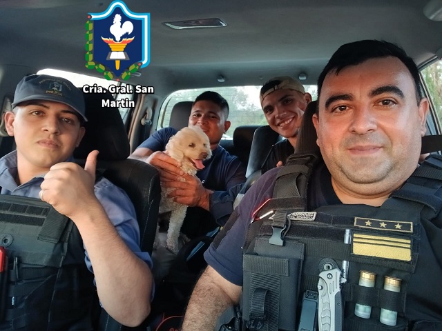 CHACO: Buenas Noticias: Policías Llevaron De Vuelta A Casa A Un Caniche Sustraído